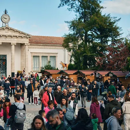 Kallistheni - Stylish In Πάνω Λεύκαρα